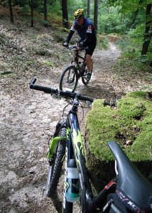MTB im Pfälzer Wald