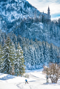 skaten_neuschwanstein