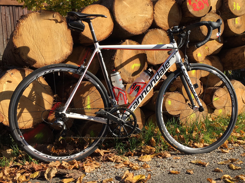cannondale_caad12_holz